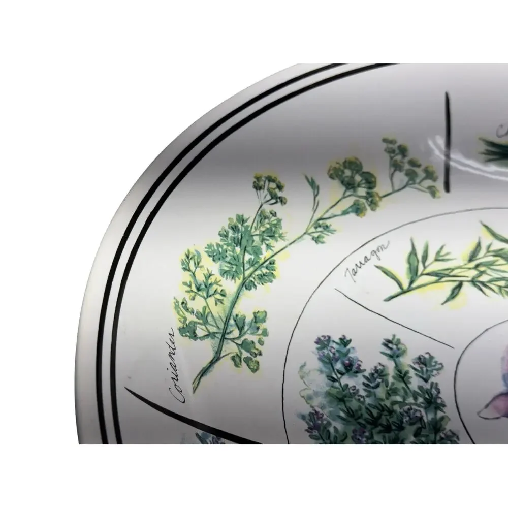 Williams Sonoma 13 in Pasta Serving Bowl Culinary Herb Spices Portugal WS024